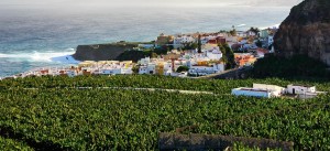 san_juan_de_la_rambla-tenerife_0