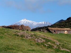 teno-alto