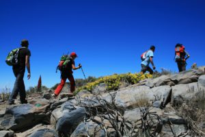 excursions in tenerife