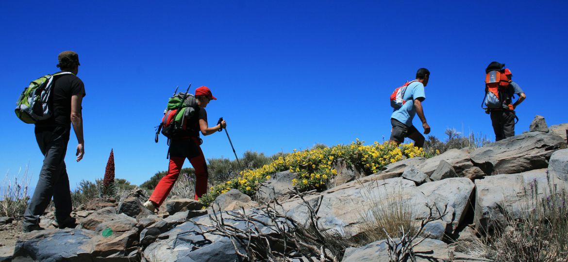 excursions in tenerife